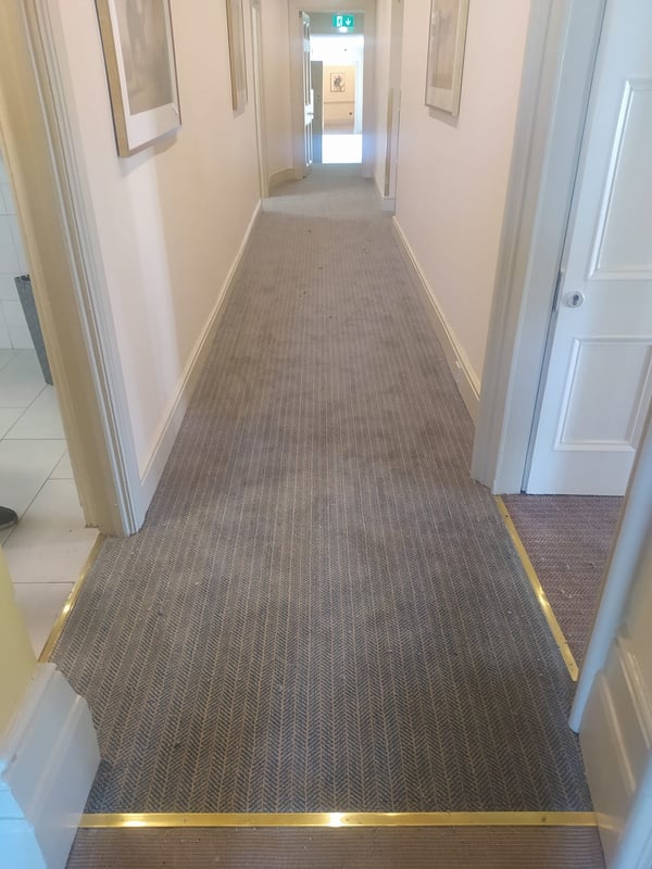 a hallway with a carpeted floor and gold trim